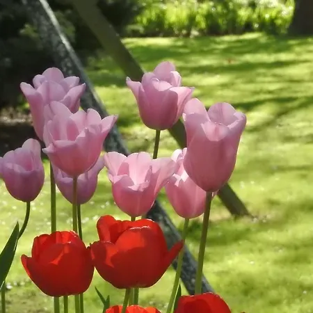 度假居 Rouge Calme Et Nature *