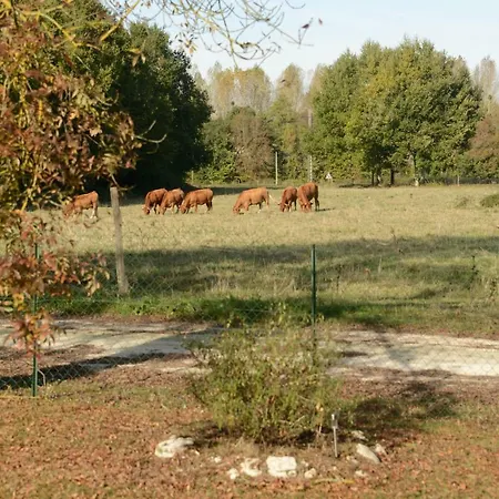 度假居 Rouge Calme Et Nature Allas-Bocage