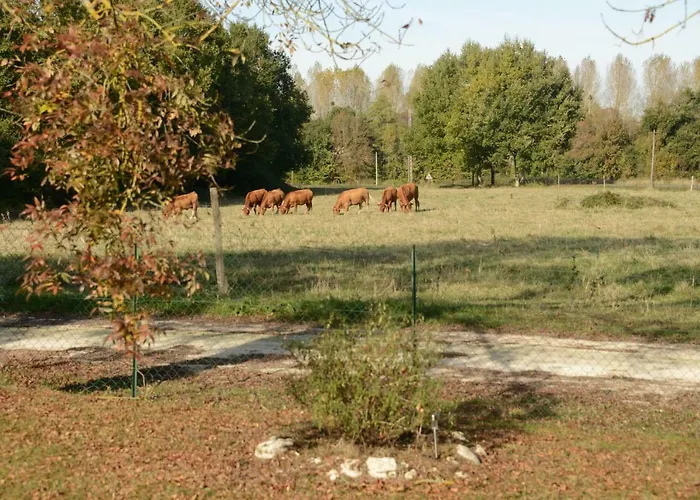 Vakantiehuis Rouge Calme Et Nature Allas-Bocage